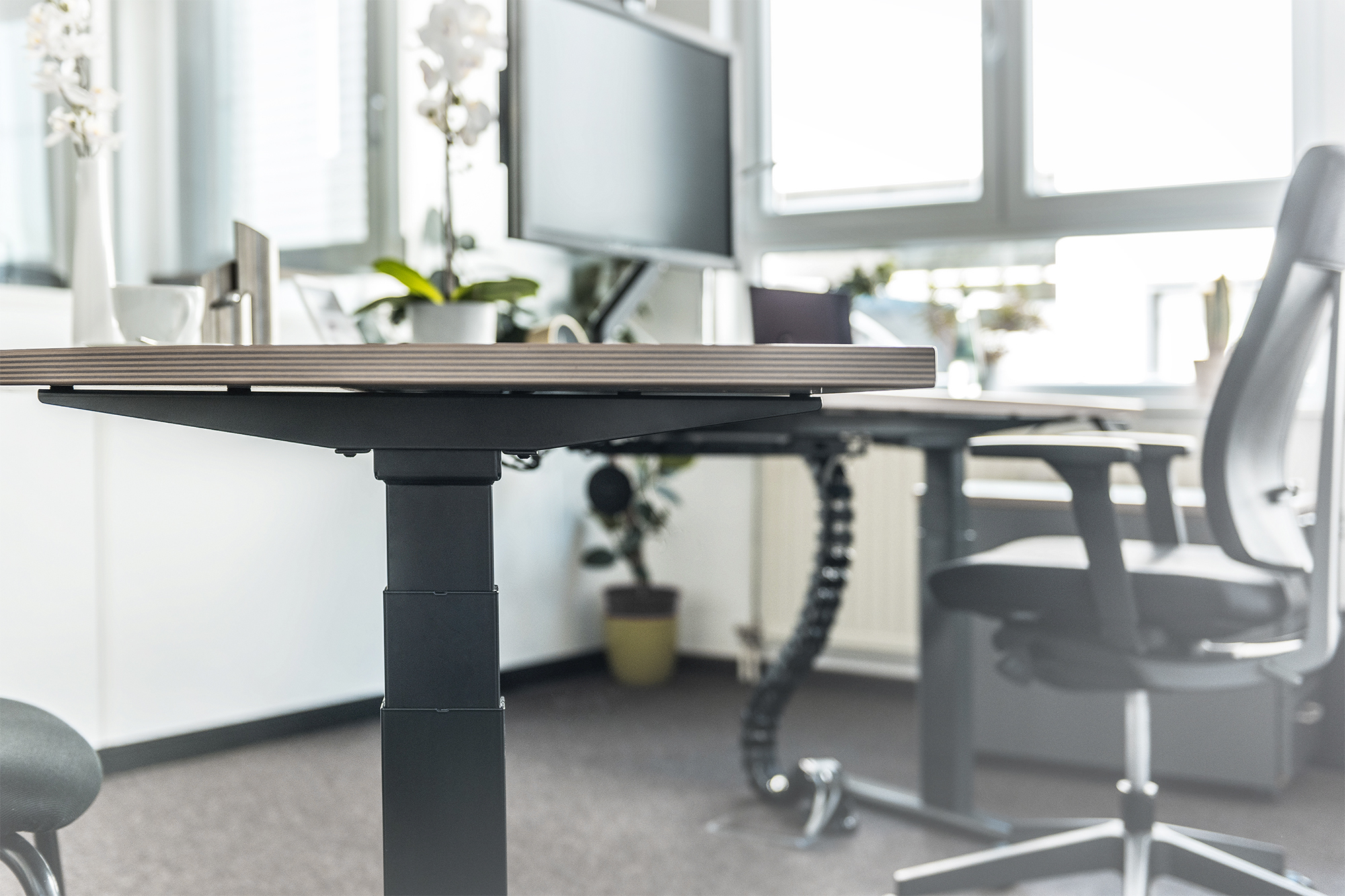 DIGITUS Ergonomic Height-Adjustable Desk