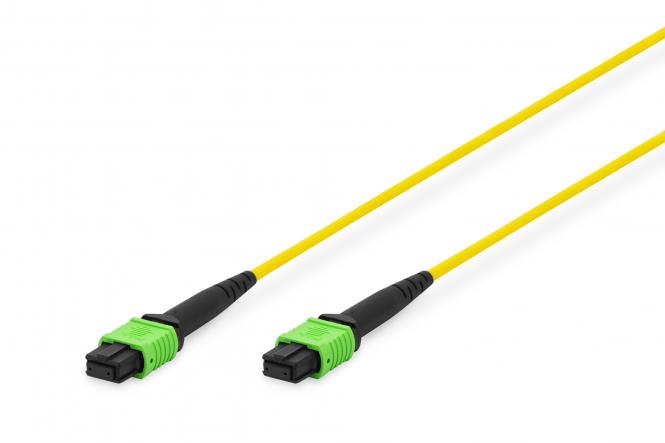 Cable de conexión de fibra óptica, MPO, conector hembra, OS2, método A, 1 m 