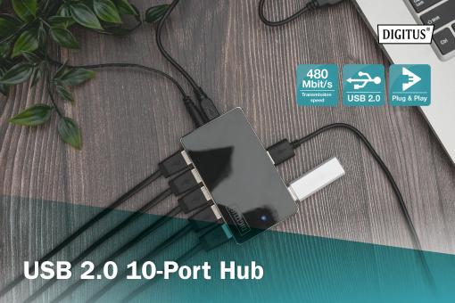 Multipuerto USB 2.0 dual Mulan